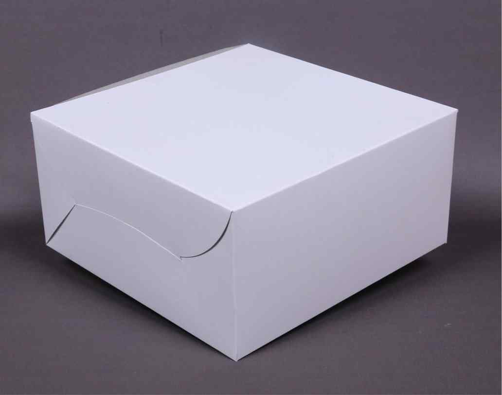 Cake Box 1 Kg (10