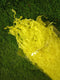 Shredded Paper | Paper Fillers (Florescent Yellow) -50gm